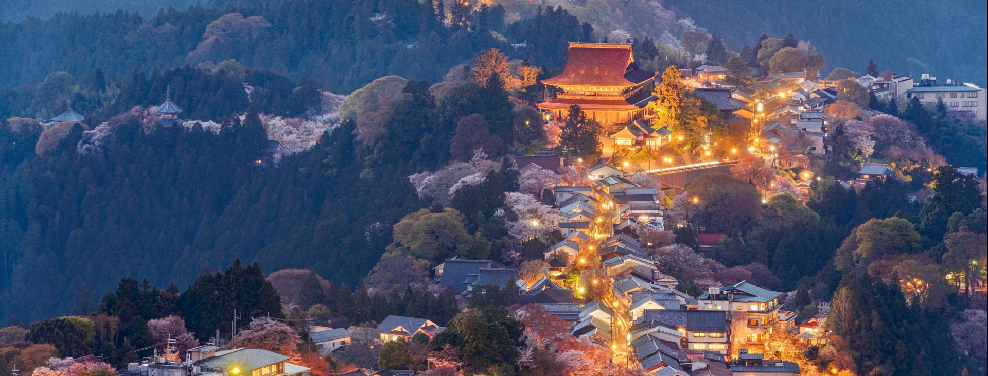 Japonya Sakura R�yas�: Japonya Bahar Turu